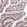 Anti-LBR Antibody