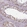 Anti-PBX4 Antibody