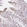 Anti-CCL1 Antibody