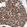 Anti-KRT8 Antibody