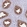 Anti-AP1S2 Antibody