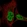 Anti-CCDC188 Antibody
