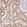 Anti-ZKSCAN7 Antibody