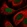 Anti-PITX2 Antibody