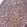Anti-CD80 Antibody
