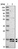 Anti-C19orf25 Antibody