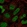 Anti-PRDM16 Antibody