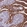 Anti-HOOK2 Antibody