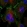 Anti-TP53BP2 Antibody