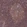 Anti-TRIM26 Antibody