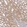 Anti-IRAK2 Antibody