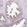Anti-FMC1 Antibody