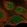 Anti-NFATC3 Antibody