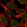 Anti-ZNF655 Antibody