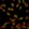 Anti-EMSY Antibody