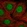 Anti-RP9 Antibody