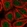 Anti-ZNF789 Antibody