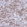 Anti-KCTD15 Antibody