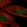 Anti-CAMK2N2 Antibody