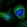 Anti-ESAM Antibody