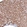 Anti-ALDH2 Antibody
