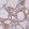 Anti-SNX5 Antibody