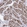 Anti-CTPS1 Antibody