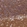 Anti-NPTN Antibody