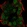 Anti-NFAT5 Antibody