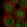 Anti-IKZF5 Antibody