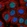 Anti-UBFD1 Antibody