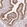 Anti-EEF1A1 Antibody