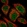 Anti-ACBD4 Antibody