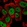 Anti-LRRC41 Antibody