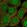 Anti-SWI5 Antibody