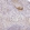Anti-C1QB Antibody