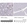 Anti-TRPM7 Antibody