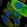 Anti-TRUB2 Antibody