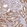 Anti-PIK3R5 Antibody