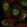 Anti-SPAG7 Antibody