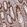 Anti-PHF23 Antibody