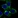 Anti-RTBDN Antibody