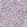 Anti-NFIC Antibody