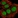 Anti-TMA16 Antibody