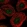 Anti-ARPC2 Antibody