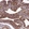 Anti-TRIP6 Antibody