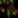 Anti-C2orf82 Antibody