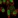 Anti-C2orf82 Antibody