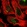 Anti-FAM219A Antibody