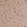 Anti-C6orf163 Antibody